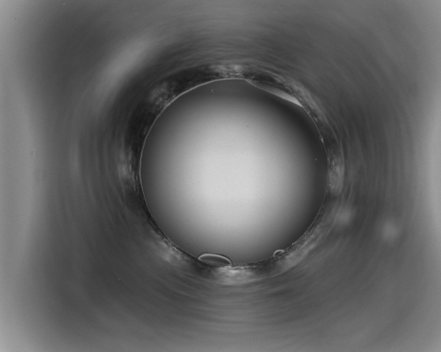 X0000115530477200911061444