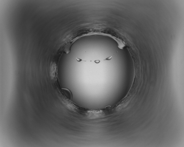 X0000115530480200911061444