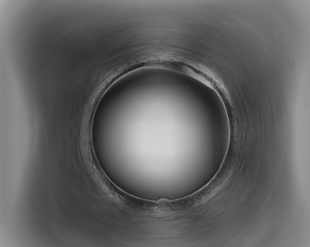 X0000115530481200911061443