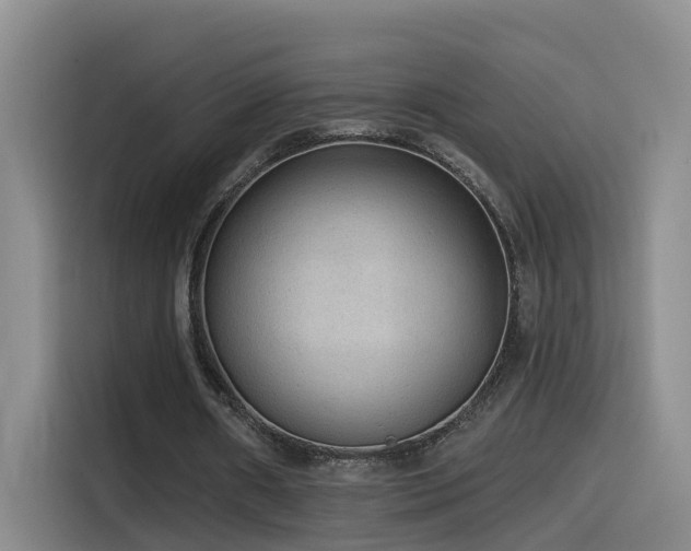 X0000115530482200911061443