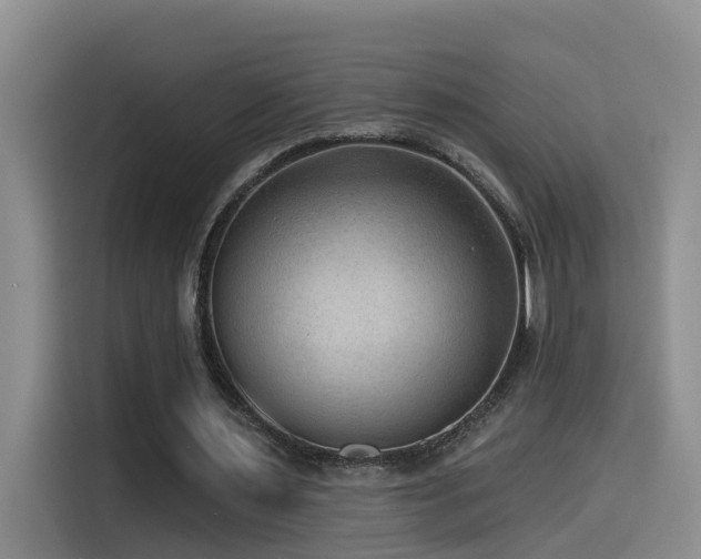 X0000115530483200911061443