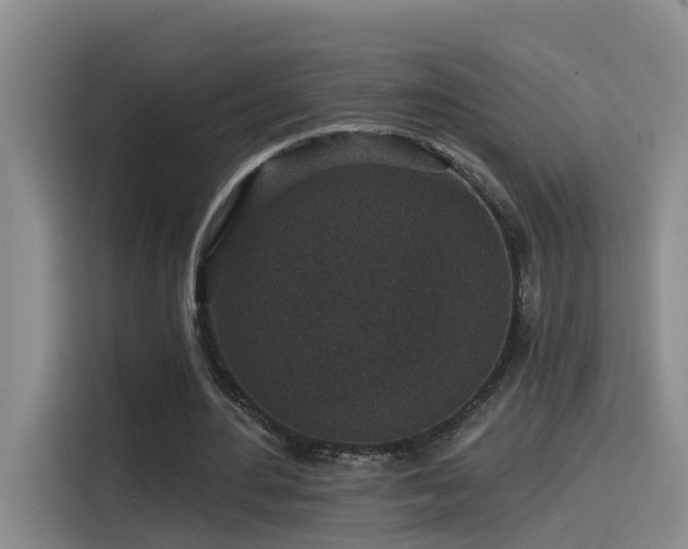 X0000115530484200911061443