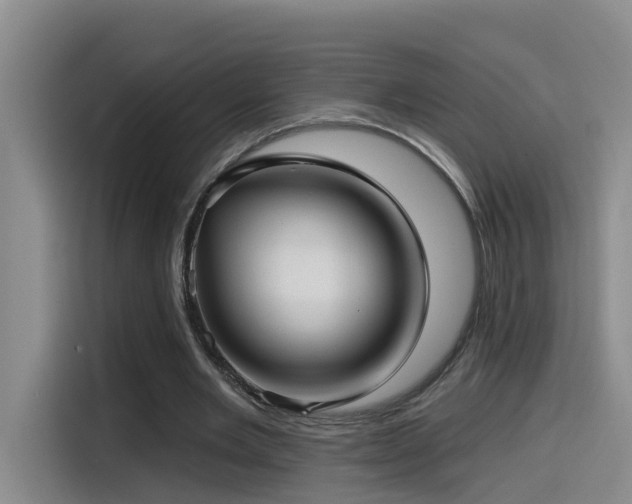 X0000115530485200911061443