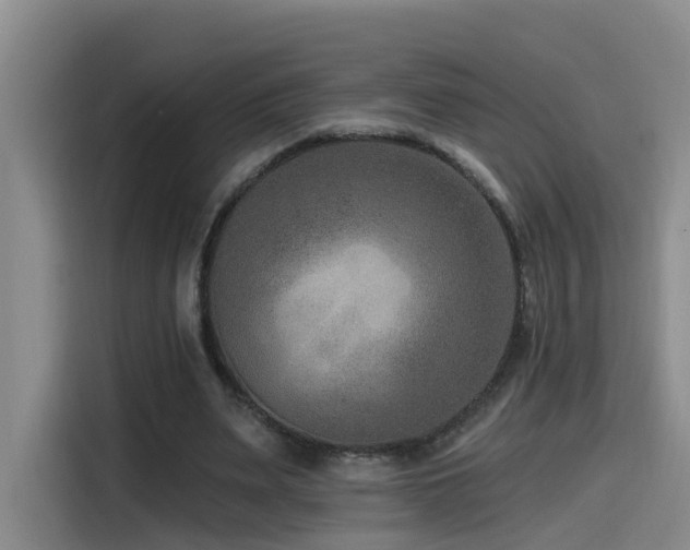 X0000115530487200911061443