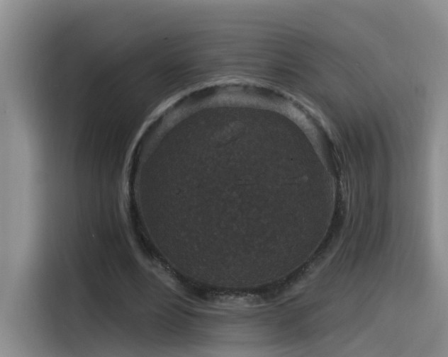 X0000115530488200911061443