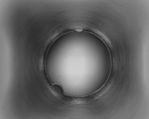 X0000115530489200911061443