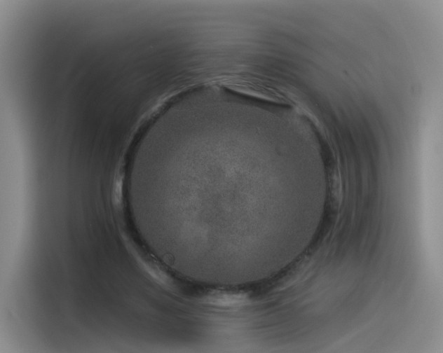 X0000115530491200911061443