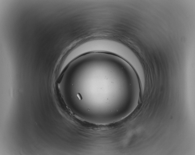 X0000115530492200911061443