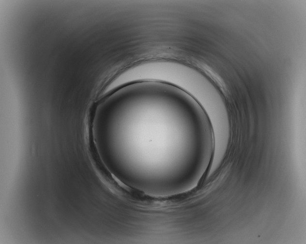 X0000115530493200911061443