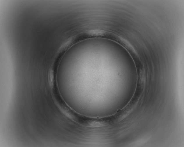 X0000115530494200911061443