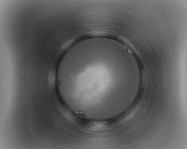 X0000115530495200911061443