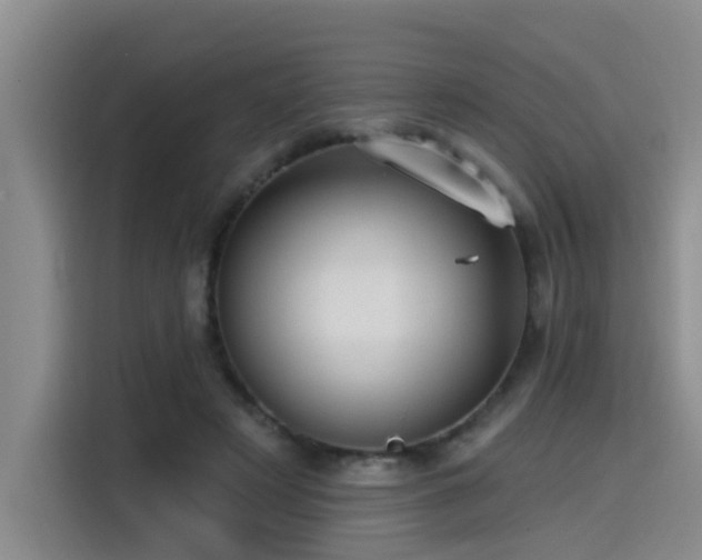 X0000115530497200911061443