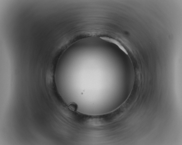 X0000115530499200911061443