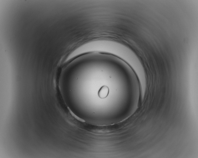 X0000115530500200911061443