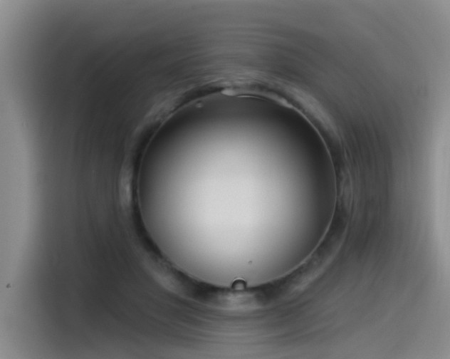 X0000115530501200911061443