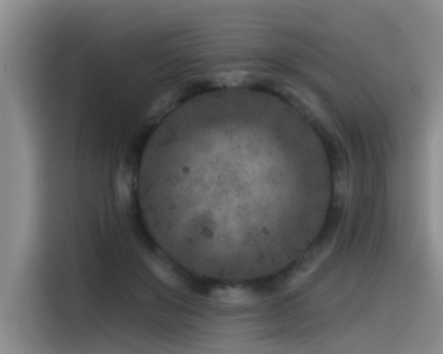 X0000115530503200911061443