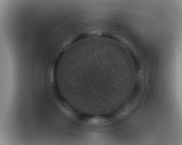 X0000115530504200911061443