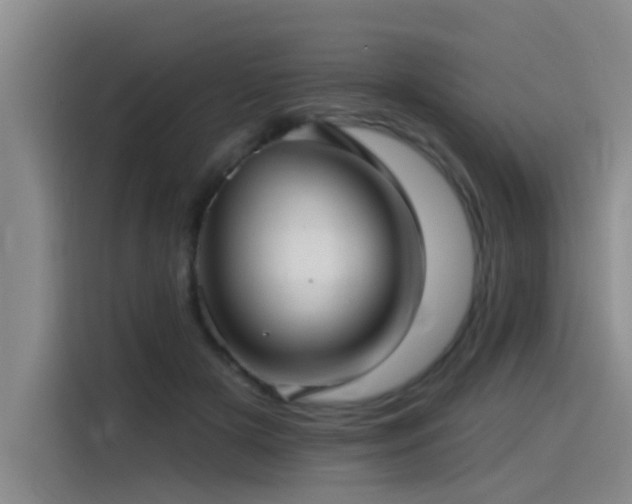 X0000115530505200911061443