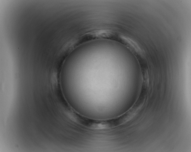 X0000115530506200911061443