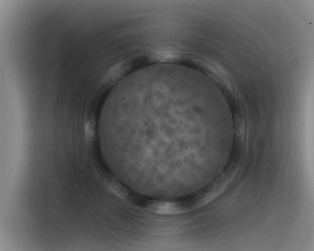 X0000115530507200911061443