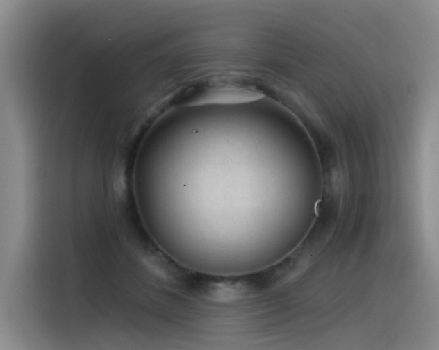 X0000115530508200911061443