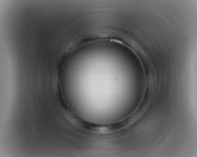 X0000115530509200911061443