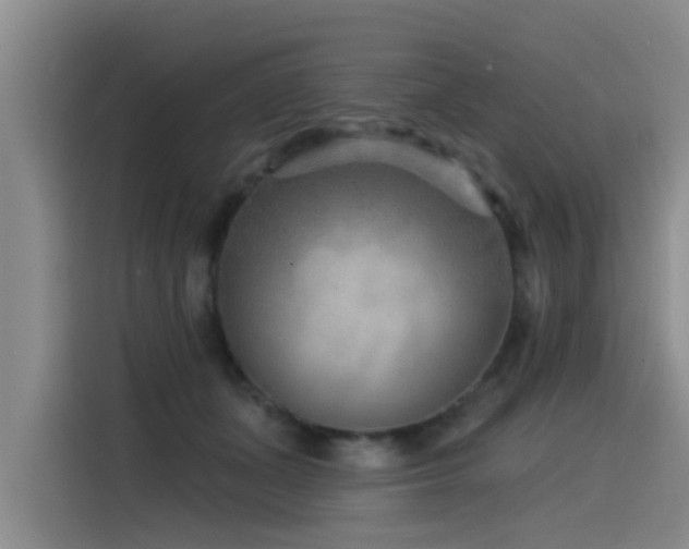 X0000115530511200911061443