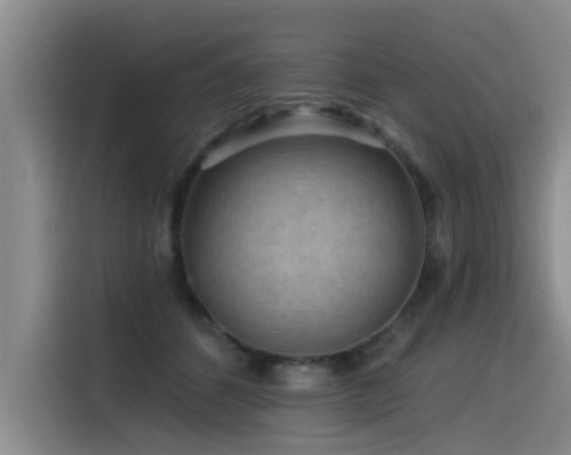 X0000115530512200911061443