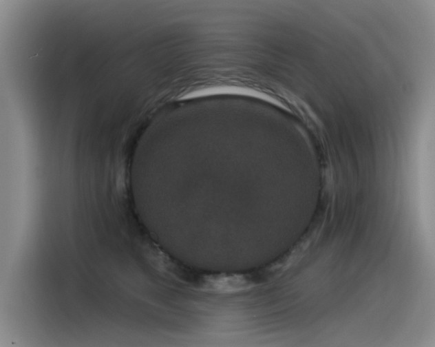 X0000115530517200911061443