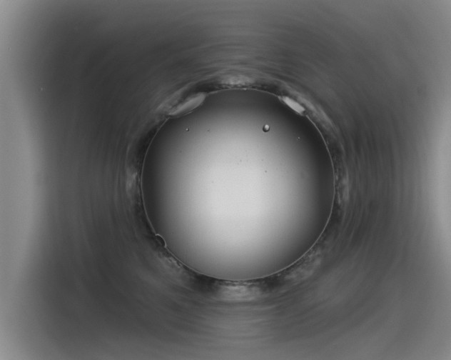 X0000115530521200911061443