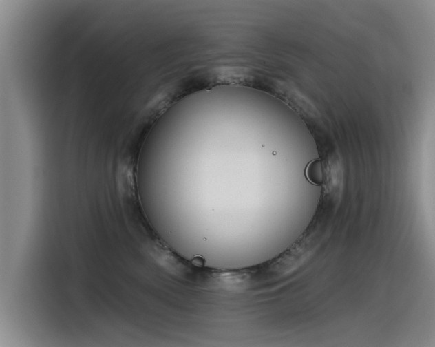 X0000115530522200911061443