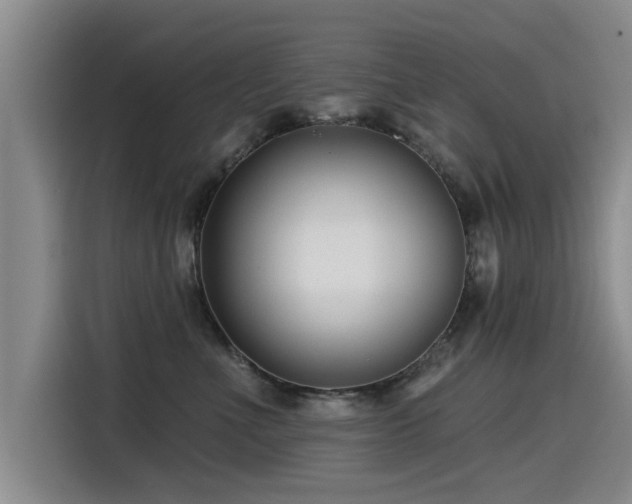 X0000115530523200911061443