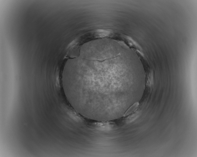 X0000115530524200911061443