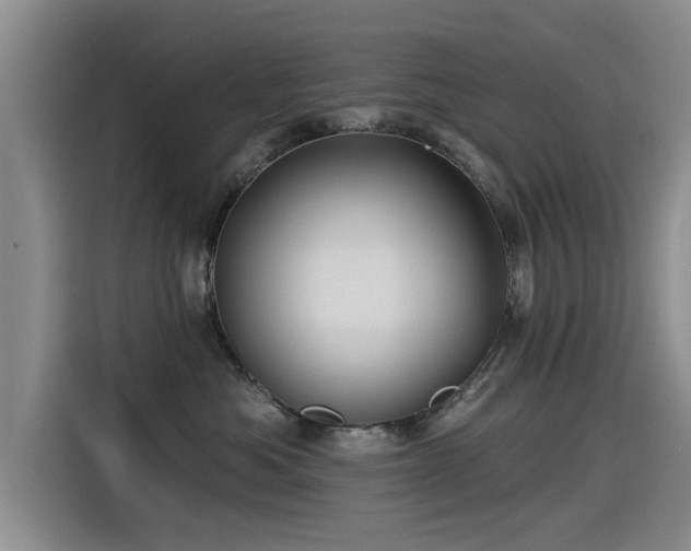 X0000115530525200911061443