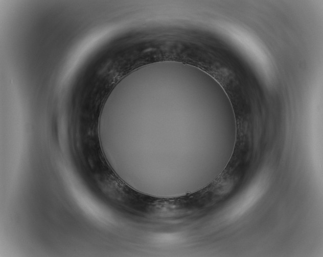 X0000115530526200911061443