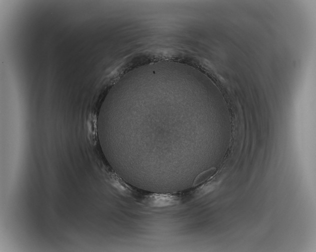 X0000115530528200911061442