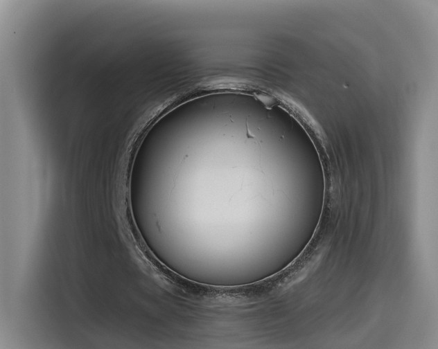 X0000115530529200911061442