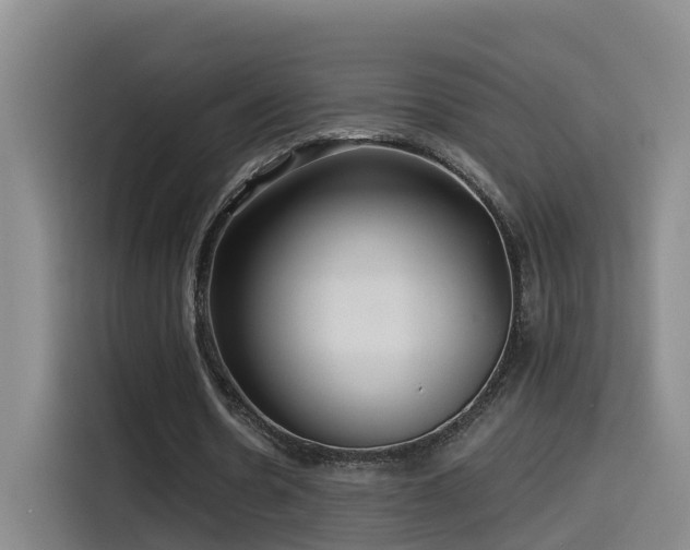 X0000115530530200911061442