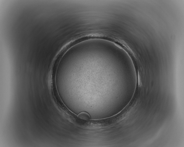 X0000115530531200911061442