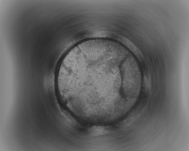 X0000115530534200911061442