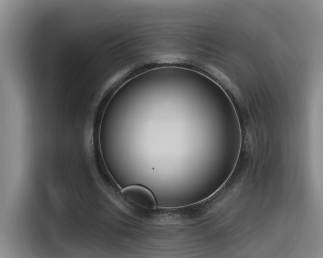 X0000115530535200911061442