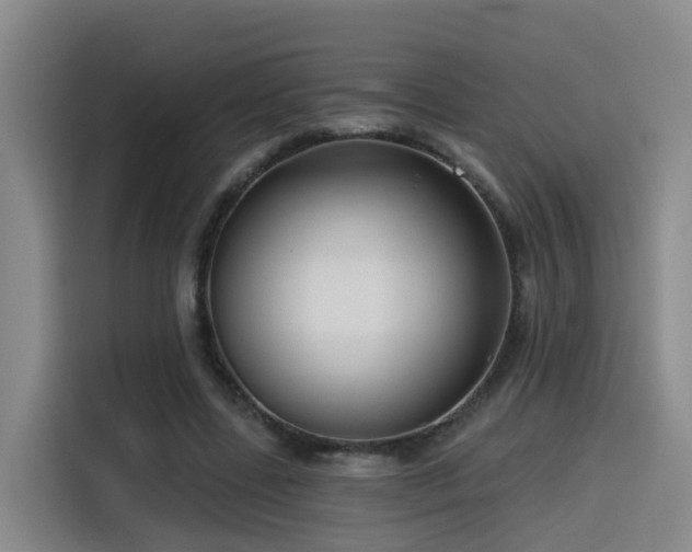 X0000115530539200911061442