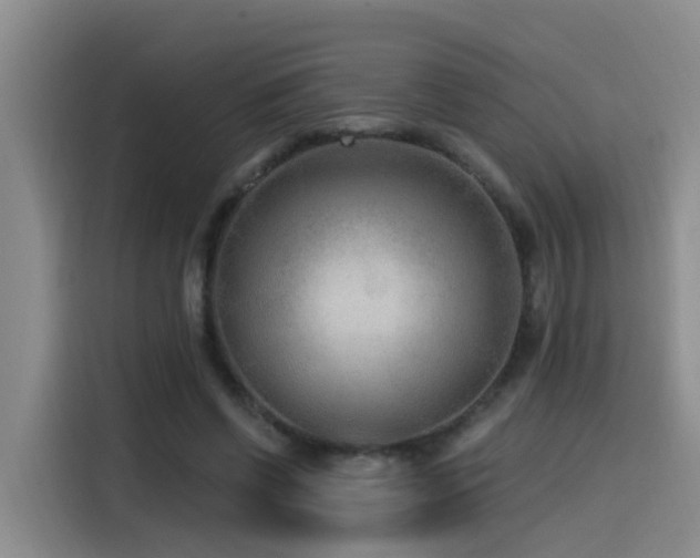 X0000115530542200911061442