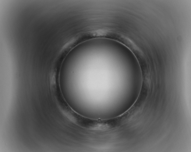 X0000115530543200911061442