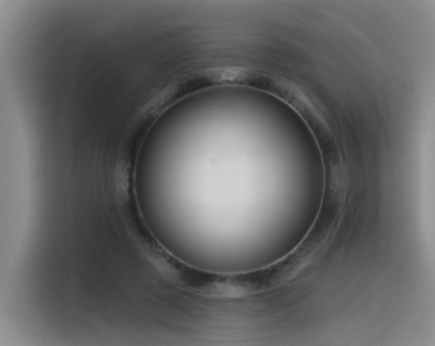 X0000115530545200911061442