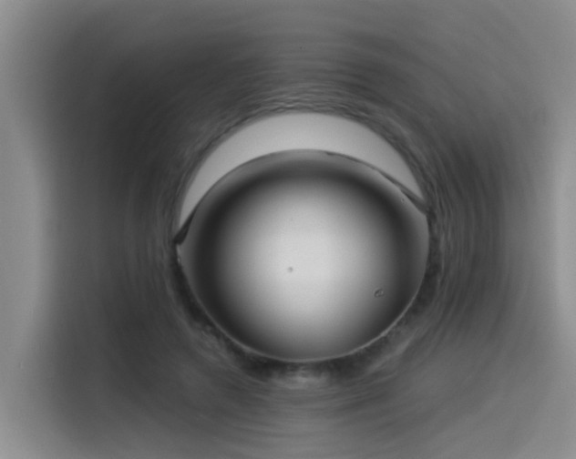 X0000115530546200911061442