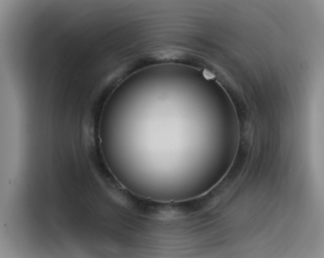 X0000115530547200911061442