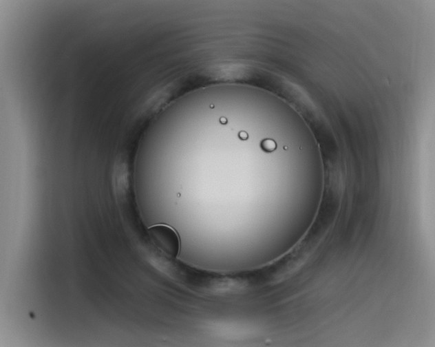 X0000115530549200911061442