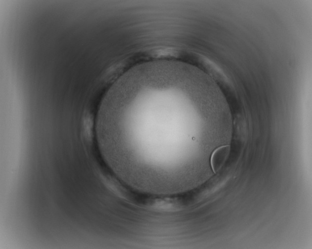 X0000115530550200911061442