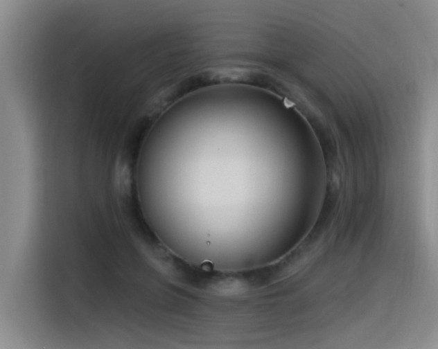 X0000115530551200911061442